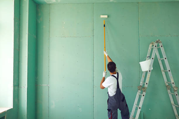 Best Mold Documentation for Insurance Claims  in Eggertsville, NY
