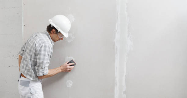 Best Mold Remediation for Healthcare Facilities  in Eggertsville, NY