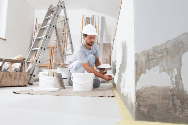 Best Comprehensive Air Testing for Mold Contaminants  in Eggertsville, NY
